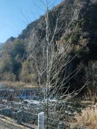 A Journey through the Autumn Valley
