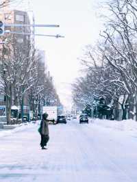 聽說札幌下雪了