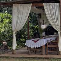 คาเฟ่สไตล์บ้านกลางป่า สุดร่มรื่น จ.เชียงใหม่