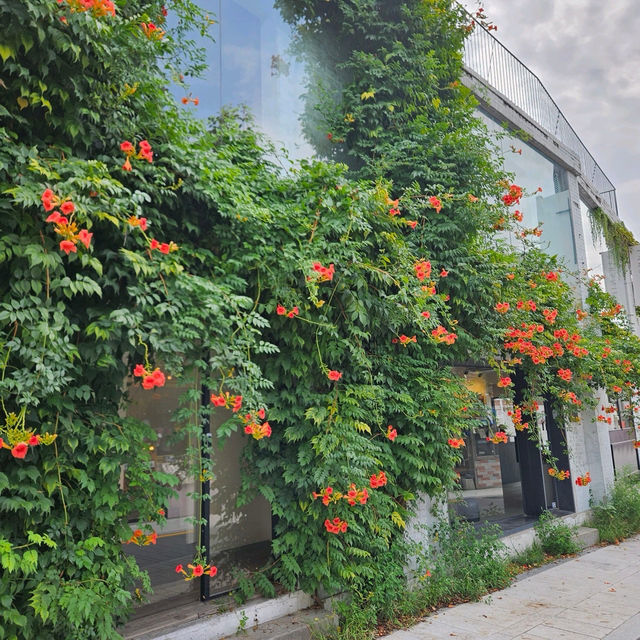 🌞안국역 근처 카페 북촌 계동 한옥 뷰 마녹 🌺