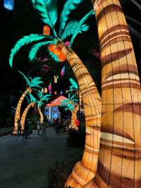 “Moonlit Harmony Spectacle at Gardens by the Bay”