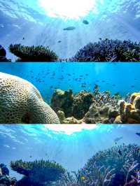 ไปทะเลกับเรานะ