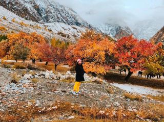 Autumn Leaves in Pakistan: A Surprising Beauty Like a Painting