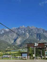 Fresh air, green hills, and happy cows—Kundasang perfection🐄⛰️