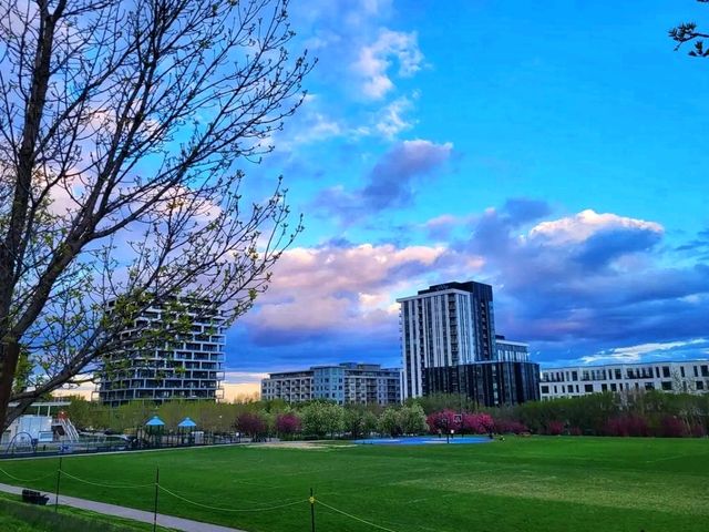 🌊 Bow River Pathway – Calgary’s Most Iconic Riverside Walk 🌊 Bow River Pathway – Calgary’s Most Iconic Riverside Walk