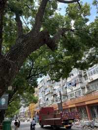 🏮上海七寶古鎮|小橋流水+狂吃小吃!走進最熱鬧的江南小城!🍢✨