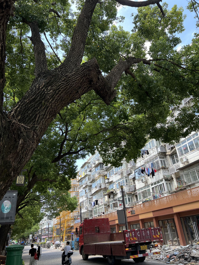 🏮上海七寶古鎮|小橋流水+狂吃小吃!走進最熱鬧的江南小城!🍢✨ 🏮上海七寶古鎮|小橋流水+狂吃小吃!走進最熱鬧的江南小城!🍢✨