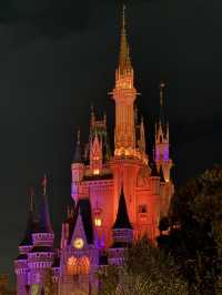 東京·Disney Land 萬聖節版👻