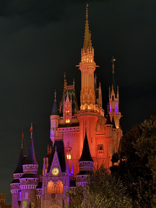 東京·Disney Land 萬聖節版👻