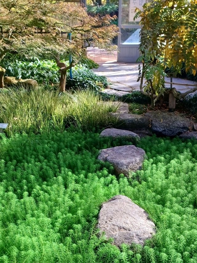 가을이 포근하게 감싸주는 경남수목원 가을이 포근하게 감싸주는 경남수목원