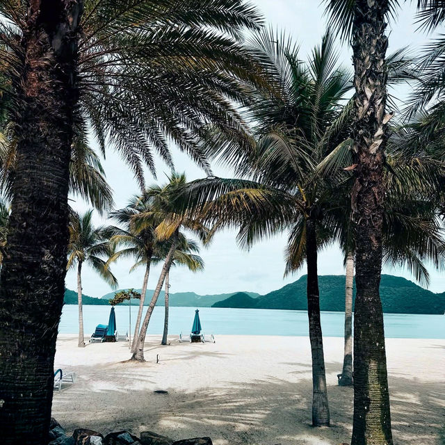 The Ultimate Langkawi Escape: Westin Langkawi Resort & Spa Review 🌴✨ The Ultimate Langkawi Escape: Westin Langkawi Resort & Spa Review 🌴✨