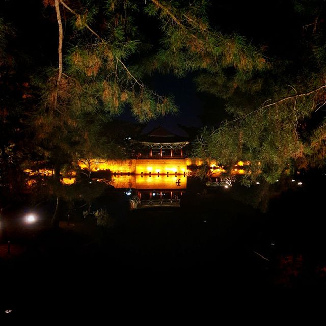 ๐๊ฒฝ์ฃผ์ ๋ฐค์ ๋น์ ์ ๋ฎ๋ณด๋ค ์๋ฆ๋ต๋ค ๐๊ฒฝ์ฃผ์ ๋ฐค์ ๋น์ ์ ๋ฎ๋ณด๋ค ์๋ฆ๋ต๋ค