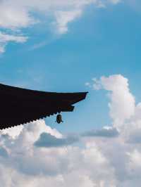 勝尾寺超級可愛滿山達摩!