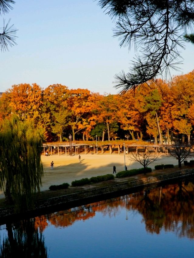 JAPAN AUTUMN 2025 JAPAN AUTUMN 2025