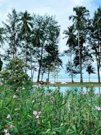 “Family-Friendly Luxury at Roxy Beach Apartment”