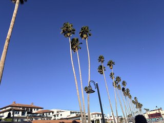 Santa Cruz is absolutely vibey with blue skies, palm trees, and sea views at every turn 🌞🌴 — but the Santa Cruz Beach Boardwalk steals the show for a California day out! 🎡

Top Spot to Visit: Santa Cruz Beach Boardwalk  
Address: 400 Beach St, Santa Cruz, CA 95060  
Hours: Mostly weekends, 12–19:00 (longer in summer & special dates — check ahead!)

Here’s the hack: Even if you’re not a rides person, grab the Boardwalk pass card — you’ll save money and feel super flexible! Just use leftover points for snacks, cute merch (the Boardwalk shops are SO extra), or some classic boardwalk eats like garlic fries and saltwater taffy. Don’t sleep on the coconut shrimp tacos at the Pier — crazy good for oceanfront bites!

Insider tip: If your whole vibe is chill and not adrenaline, you can skip the wristband and go for the rechargeable card. It’s easy to reload and you don’t feel stuck paying for unlimited rides you won’t use. (Yes, more budget for food and shopping with sea views — win!)

How to get around: Santa Cruz is walkable by the beach, but if you’re coming from San Jose or SF, easy transport is Caltrain + local bus. On-site parking fills up early, so get there before noon on weekends.  
When to go: Weekends have best hours & crowds, but check Boardwalk calendar for holiday openings.  
Money tip: The pass card stretches super far, especially if you’re shopping & munching more than thrill-riding. Skip paper tickets — go digital for ease.

#SantaCruzChill #BoardwalkEats #CaliforniaDreaming #Tripdotcom #SeaViews