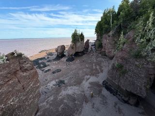 Discover the Magic of Hopewell Rocks
