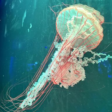 深センドリームオーシャンパーク没入型体験🌊 | Trip.com 深セン