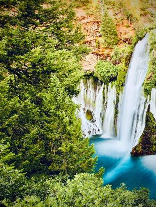 Zimbabwe Chimanimani National Park Mossy Bridal Veil Foresteasytravelpost #ChimanimaniNP #BridalVei