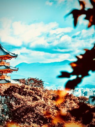 栃木縣大谷資料館地下採石場