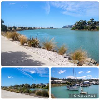 A Quiet Waterfront Moment in Nelson, New Zealand