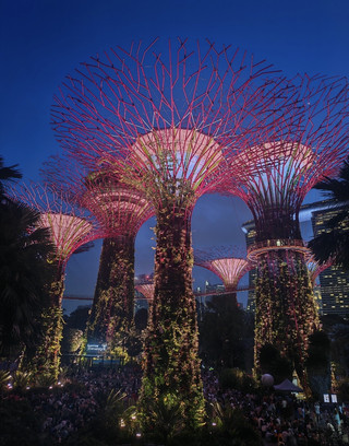 Singapore's Green Spaces Make It Perfect for Slow Travel