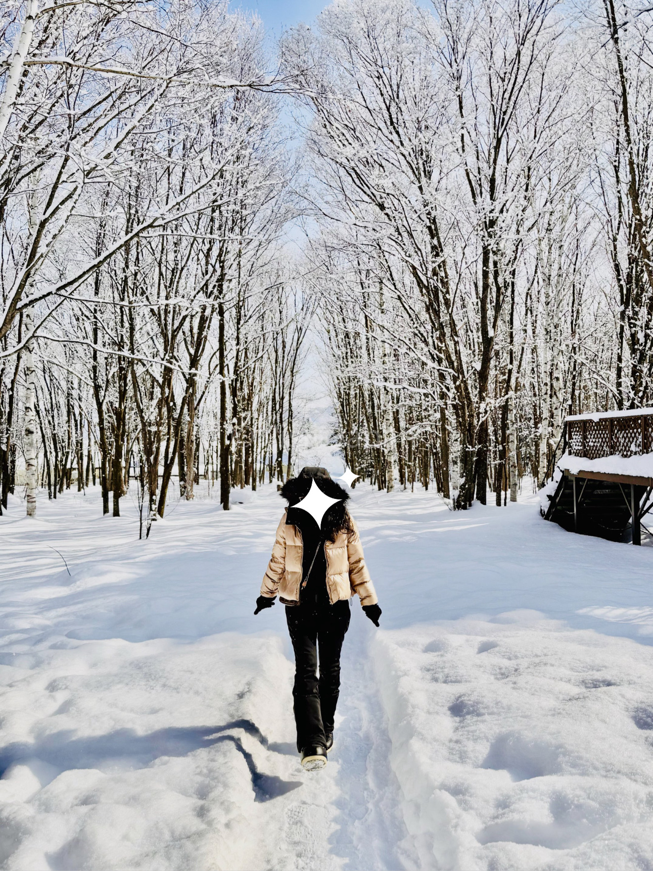 🧀❄️ Furano Cheese Factory | ไม่ได้มีดีแค่ชีส แต่มุมด้านนอกก็สวยจึ้ง!

ใครมา Furano แล้วแวะ Furano Cheese Factory อย่าเพิ่งรีบเดินเข้าไปชิมชีสนะครับ 😂

เพราะด้านนอกมีมุมถ่ายรูปน่ารัก ๆ ที่สวยเกินคาด โดยเฉพาะตัวอาคารที่มีทางเข้ากระจก รายล้อมด้วยต้นไม้ และลานด้านหน้าที่จัดเป็นมุมถ่ายรูปได้ดีมาก 📸🌲

❄️ หน้าหนาว ยิ่งสวย หิมะสีขาวตัดกับตัวอาคารและแนวต้นไม้ ได้ฟีล Furano แบบญี่ปุ่นชนบทเต็ม ๆ

📸 มุมที่แนะนำ
· ถ่ายคู่ด้านหน้าอาคาร ให้ตัวอาคารเป็นฉากหลัง
· ถ่ายจากด้านข้าง เก็บแนวต้นไม้และหิมะให้เต็มเฟรม
· ถ้ามีหิมะตกเบา ๆ ยิ่งได้ฟีลเหมือนโปสการ์ด

แวะที่เดียวได้ทั้ง ดูโรงงาน ชิมชีส ไอศกรีม และถ่ายรูป 🧀🍦📸

📍 Furano Cheese Factory, Hokkaido

💡 ตัวโรงงานเปิดให้เข้าชมฟรี และช่วง พ.ย.–มี.ค. เวลาเปิดให้บริการจะสั้นลง ควรเช็กเวลาก่อนเดินทาง

#FuranoCheeseFactory #Furano #Hokkaido #JapanTravel #TripMoments