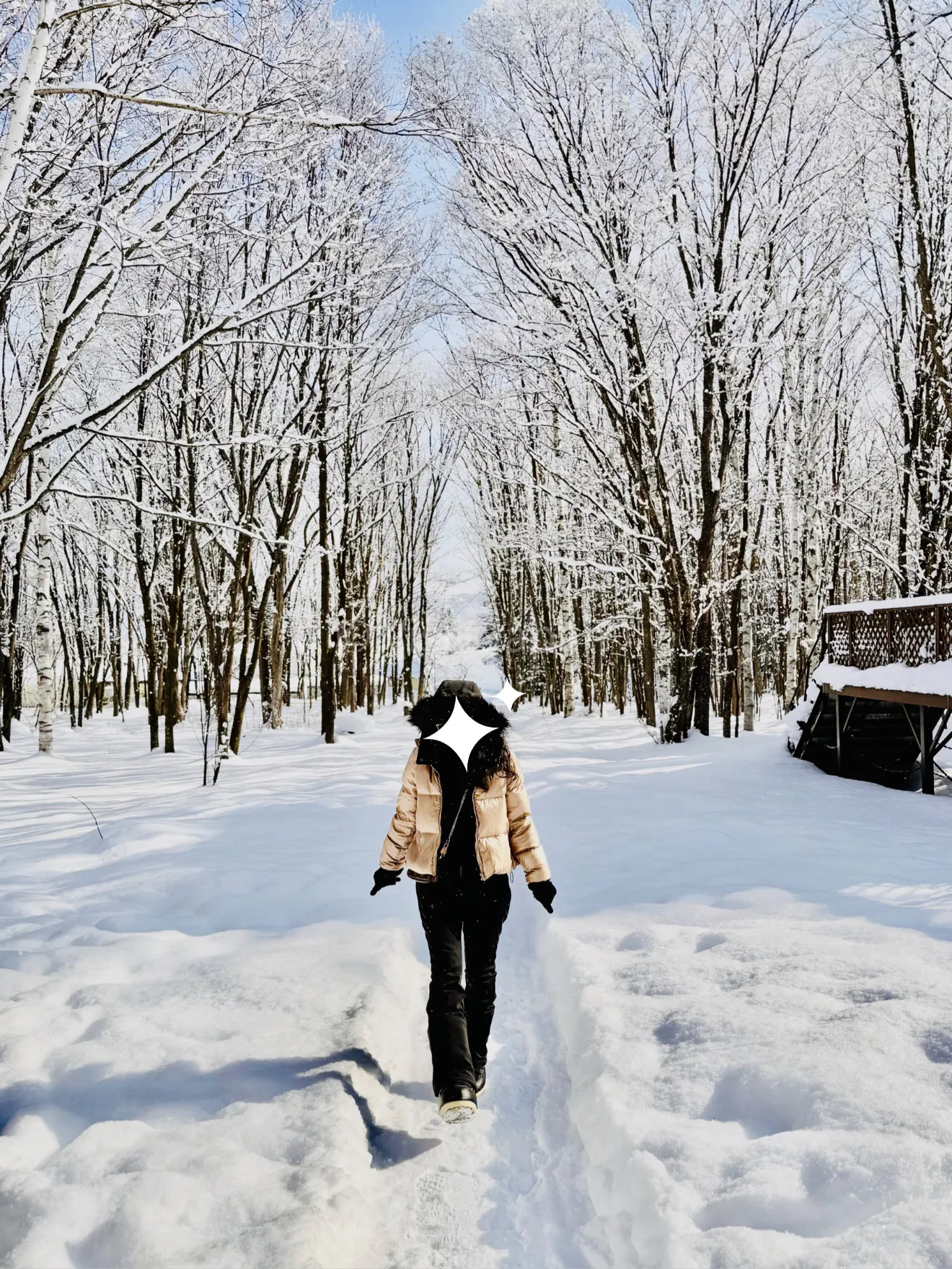 🧀❄️富良野乳酪工廠 | 不只是乳酪,它的外觀也美得令人驚艷!

若您正在遊覽富良野,並順道參觀富良野乳酪工廠,千萬別急著進去品嚐乳酪哦! 😂

工廠外觀處處皆是絕佳的拍照地點,尤其是被樹木環繞的玻璃入口建築和佈置精美的前院。 📸🌲

❄️ 冬季的富良野乳酪工廠更是美不勝收。皚皚白雪與建築和樹木交相輝映,完美展現了富良野濃鬱的日式鄉村風情。

📸 推薦拍照點:

· 以建築為背景,在建築前拍照。

· 從側面拍攝,將樹木和白雪都納入畫面。

· 如果下著小雪,景色會更如明信片般夢幻。

一次參觀即可體驗工廠之旅、品嚐起司和冰淇淋,以及無數的拍照機會! 🧀🍦📸

📍 富良野乳酪工廠,北海道

💡 工廠免費入場,但11月至隔年3月期間營業時間較短。請在參觀前查詢營業時間。

#富良野乳酪工廠 #富良野 #北海道 #日本旅遊 #旅行趣事