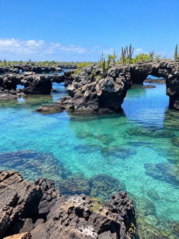 ガラパゴス諸島、海に浮かぶ驚異の楽園。 | Trip.com ガラパゴス