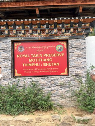 Motithang Takin Preserve — Meet Bhutan’s Most Unusual Animal