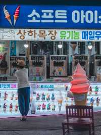 어딜가나 마늘이 가득한 이곳 "단양구경시장"