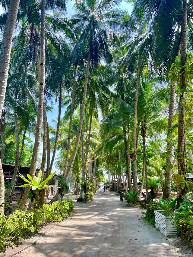 Mabul Island🌴