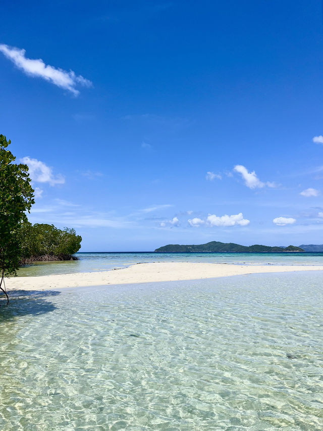 Discovering a gem in Palawan