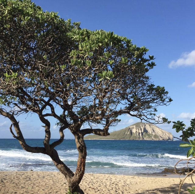【ハワイ🇺🇸マカプウビーチ】ドライブ日和🚗綺麗なビーチに癒されて🏖️