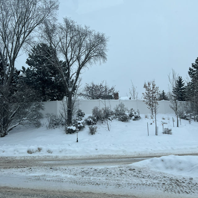 Edmonton Toronto 
