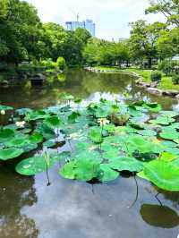長柄東公園