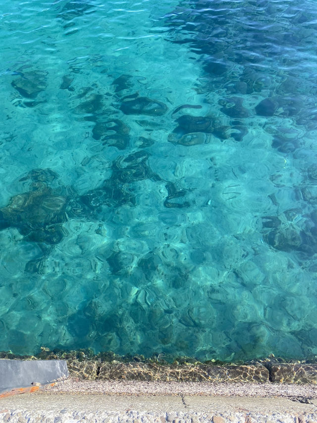 🐟高知の秘境アイランド🇯🇵【鵜来島（うぐるしま）】海に癒される旅