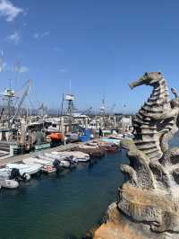 Los Angeles, Gardena, Hermosa Beach, Venice, Santa Monica, Big Bear Lake, San Diego 17-Day Tour: Fro