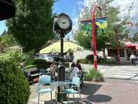 🇨🇦North Vancouver에 여유로운 브런치카페‘Delany’s Coffee House🎈