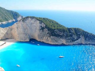 ดอกไม้ที่ส่องประกายด้วยแสงแดด ✨