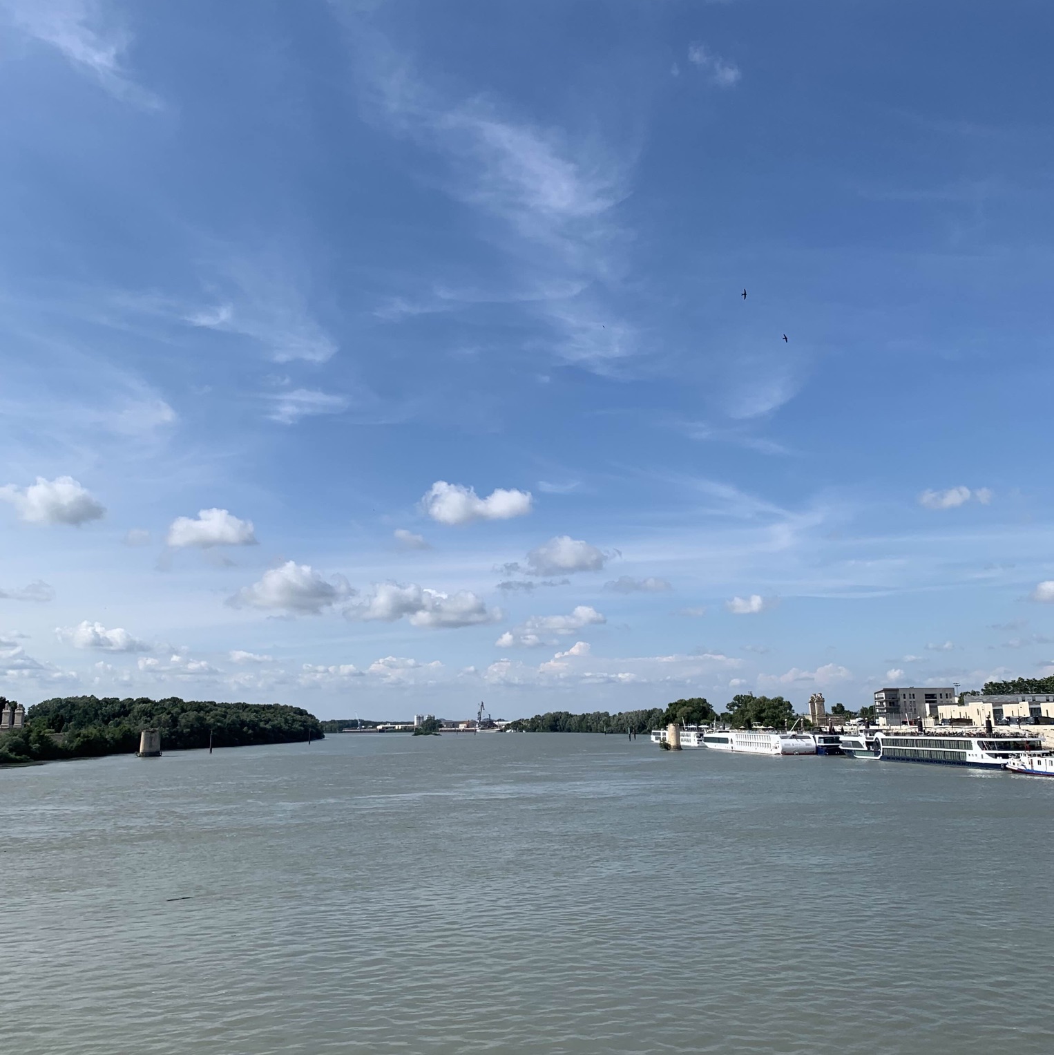 Du lịch đến Arles, một thành phố nhỏ ở miền Nam nước Pháp🌿