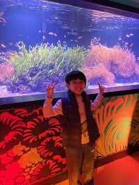 遊覽大笨鐘倫敦眼海洋館行程