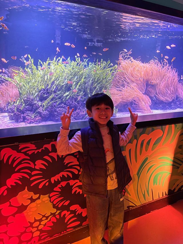 遊覽大笨鐘倫敦眼海洋館行程