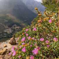 Lion's Head trail Cape Town