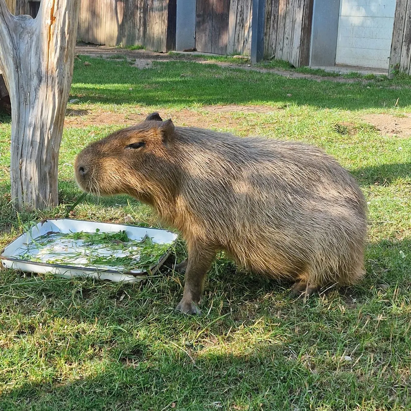 羅茲動物園🦒🦏
