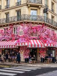 Parisian Elegance: City of Lights🇫🇷🥖