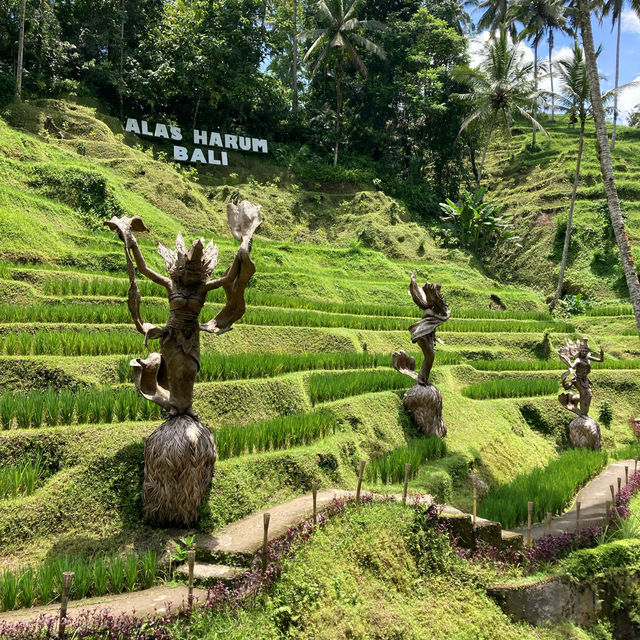 My Bali, food beaches & more