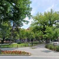 A Serene City in Northern Serbia