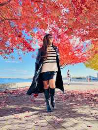 가을의 캐나다 🍁