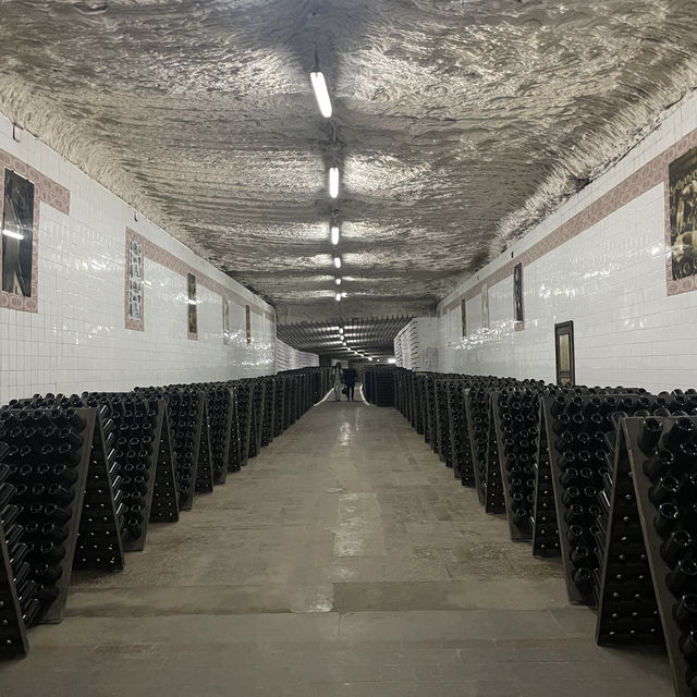 Searching through the wine sellers